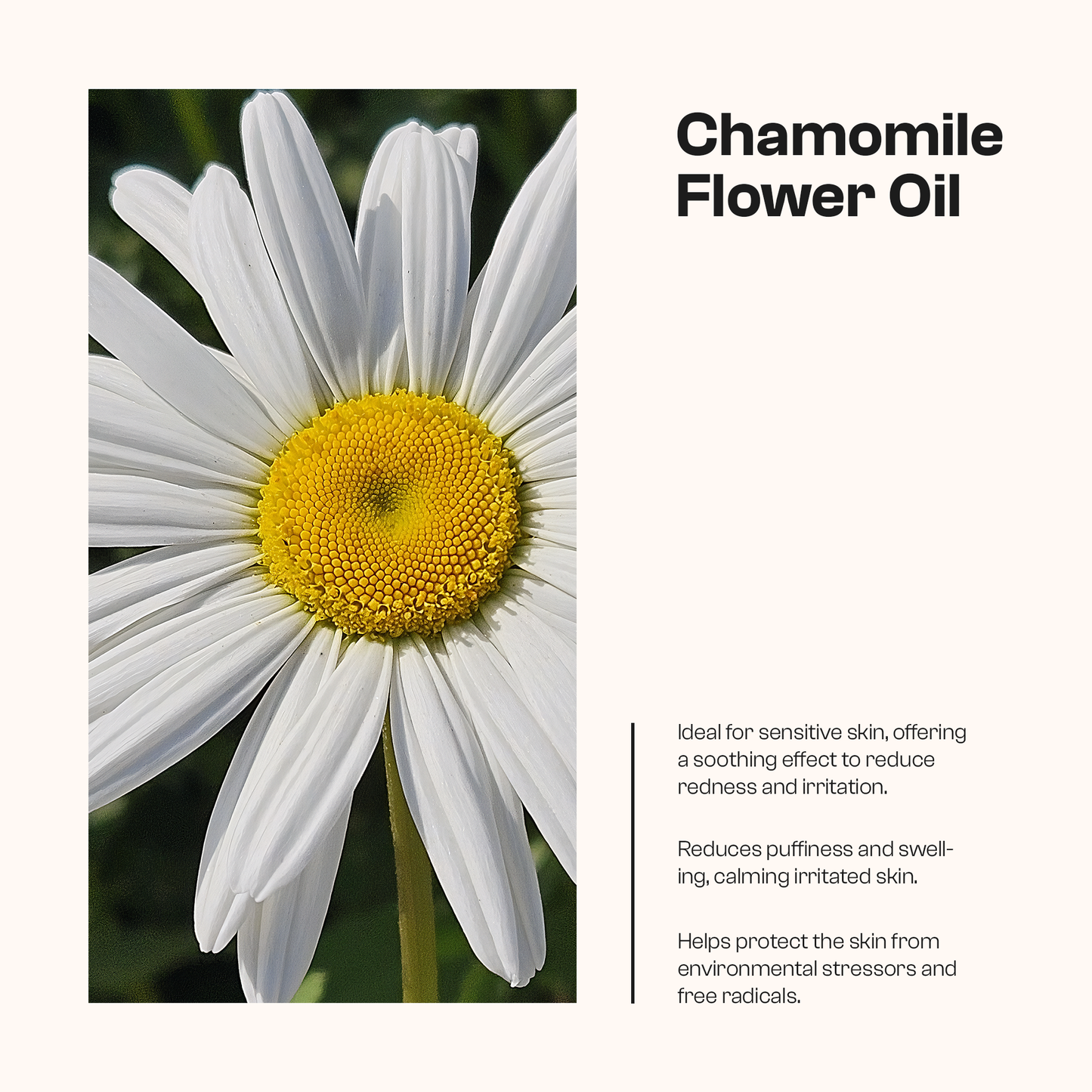 Manuka Honey Chamomile Tallow Body Balm