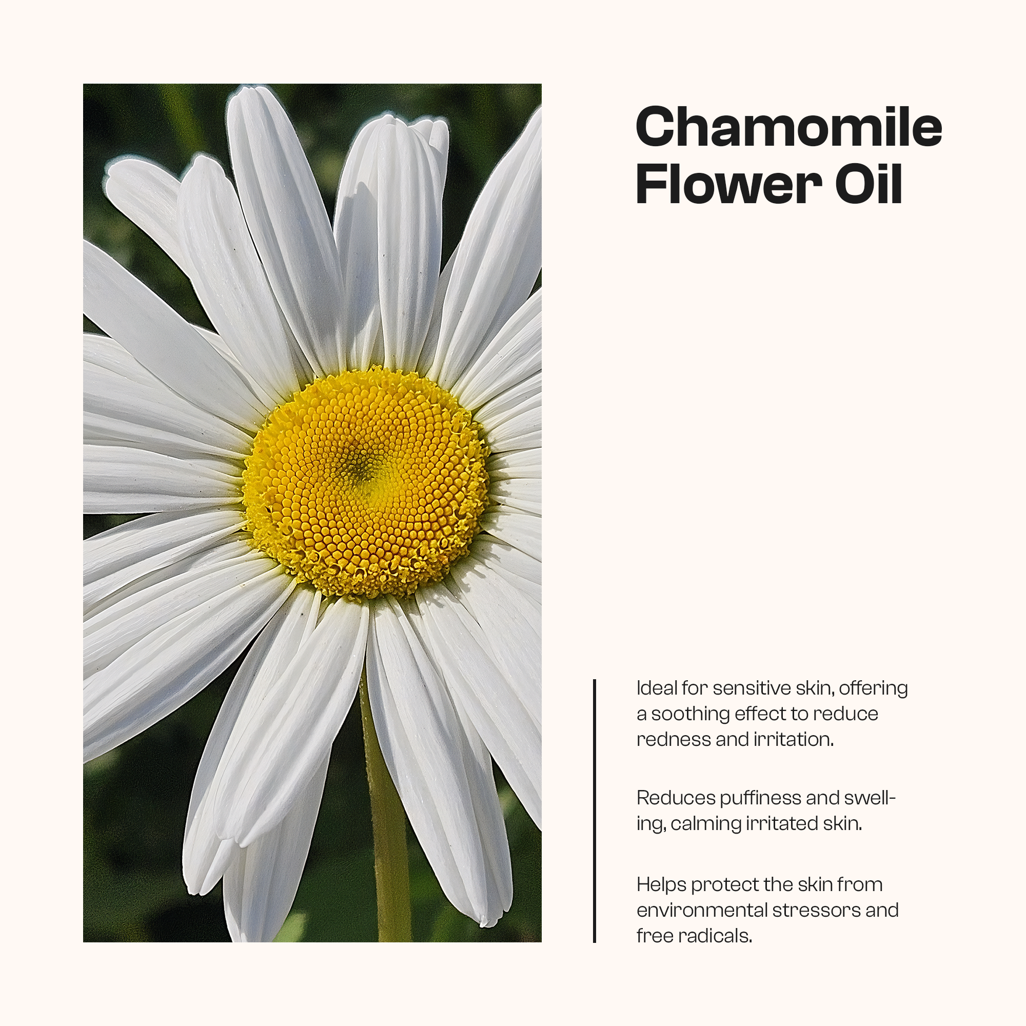 Manuka Honey Chamomile Tallow Body Balm