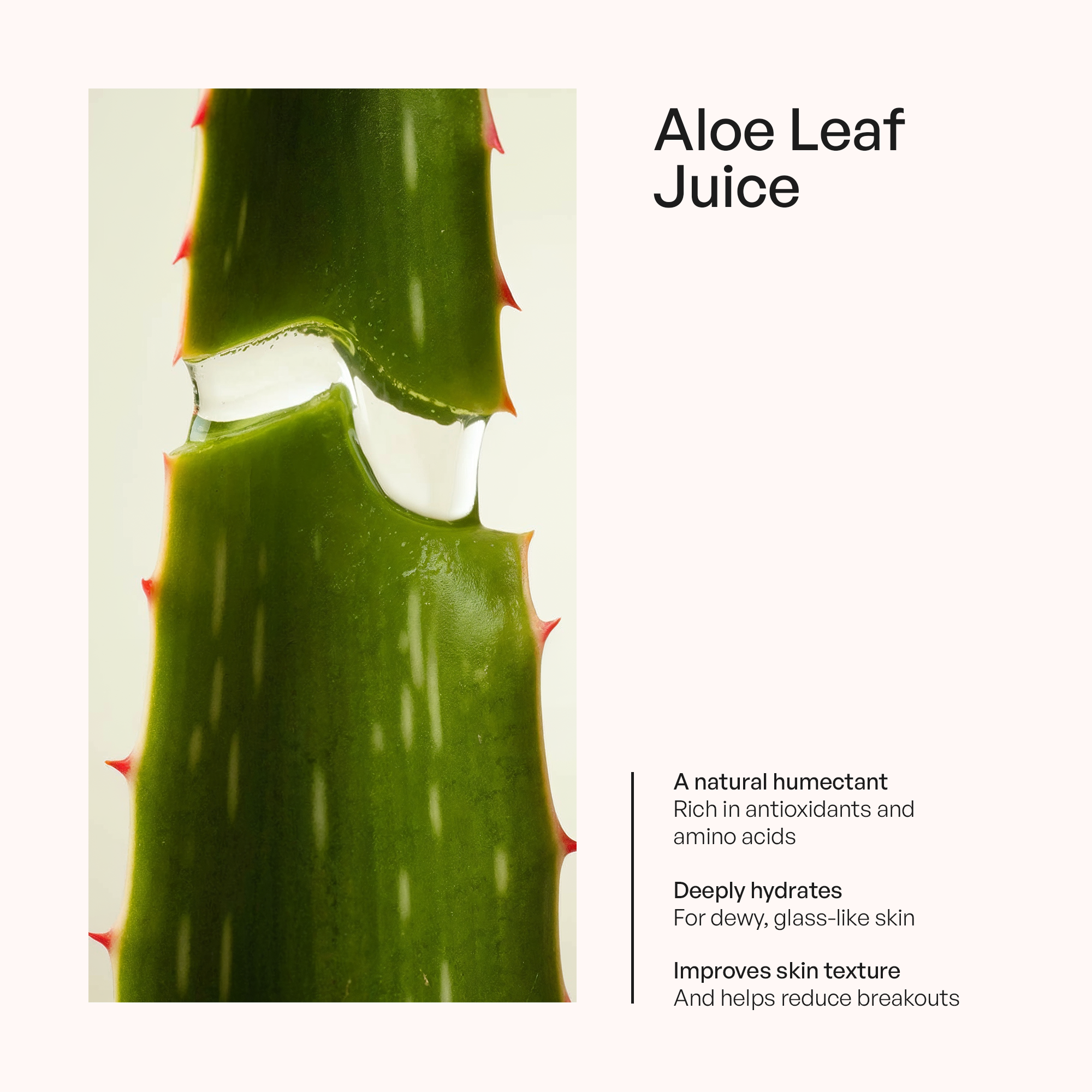 Foaming Oil Cleanser