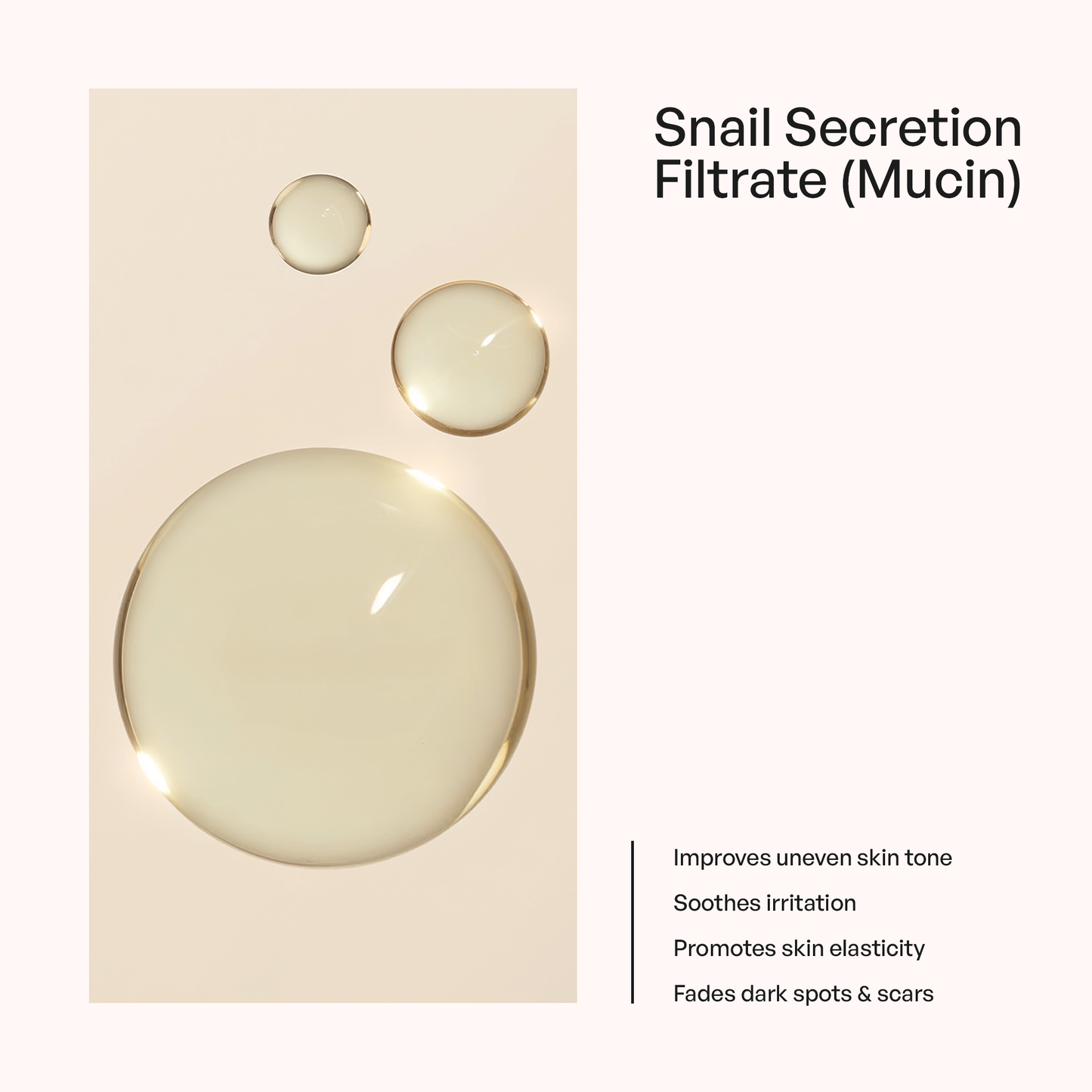 Snail Mucin Essence
