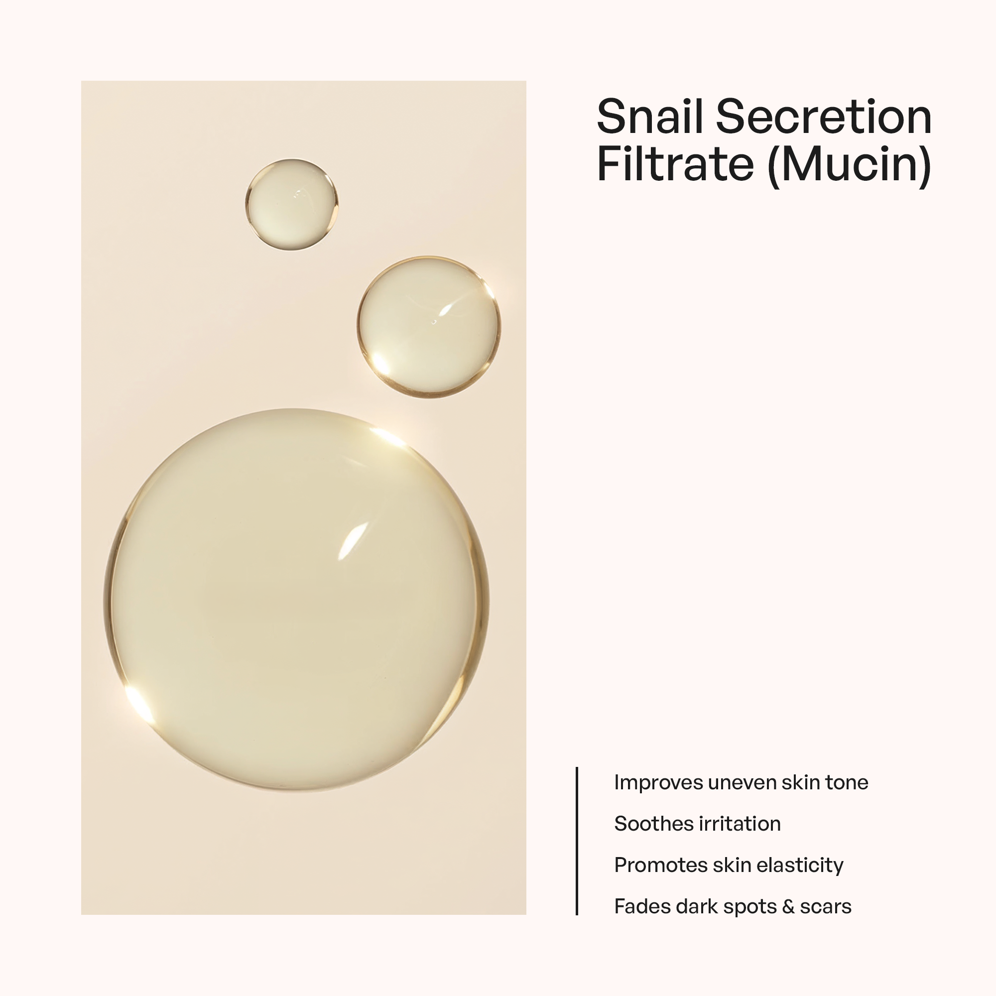 Snail Mucin Essence